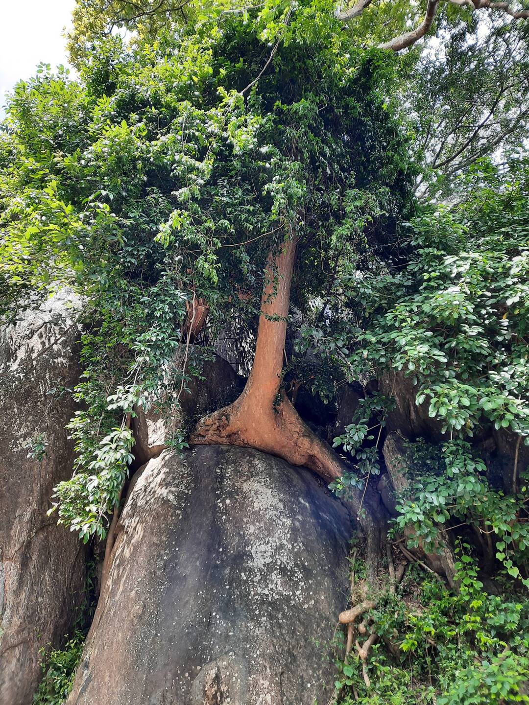 Los geht's, immer tapfer bergauf