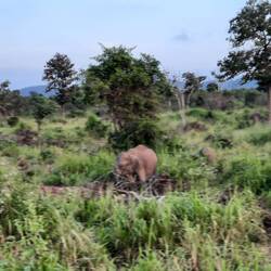 Und immer näher kamen sie
