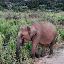 Ganz friedlich und ohne Scheu