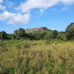 Auf jeden Fall eine sehr schöne Landschaft hier in der Mitte von Sri Lanka