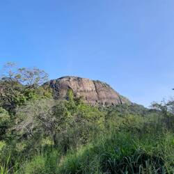 Auch ohne Elefanten eine interessante Fahrt...