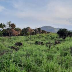 Dann eine ganze Familie 😅