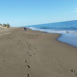 🎶🎶...meine Spuren im Sand😂🎶🎶