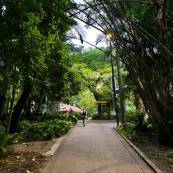 City botanical gardens