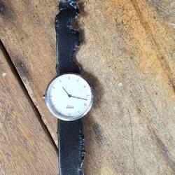 Die Tierwelt macht sich auf verschiedene Weise bemerkbar...