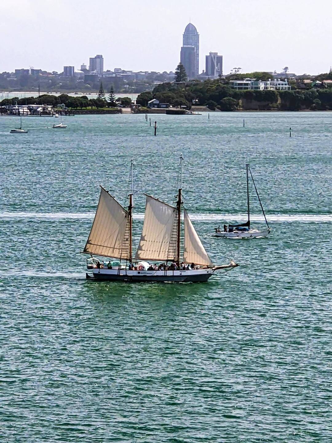 Sailboat in the harbor