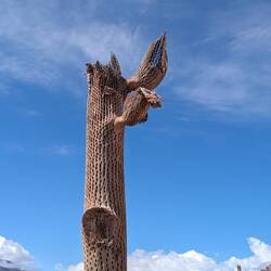 Ein alter Kakteenstamm