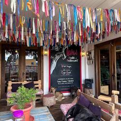 In Puerto Natales gibt es wieder viele Hunde