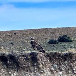 Dafür sahen wir den Herren!