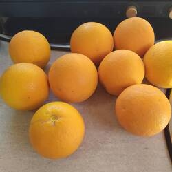 Orangen - All Inklusive