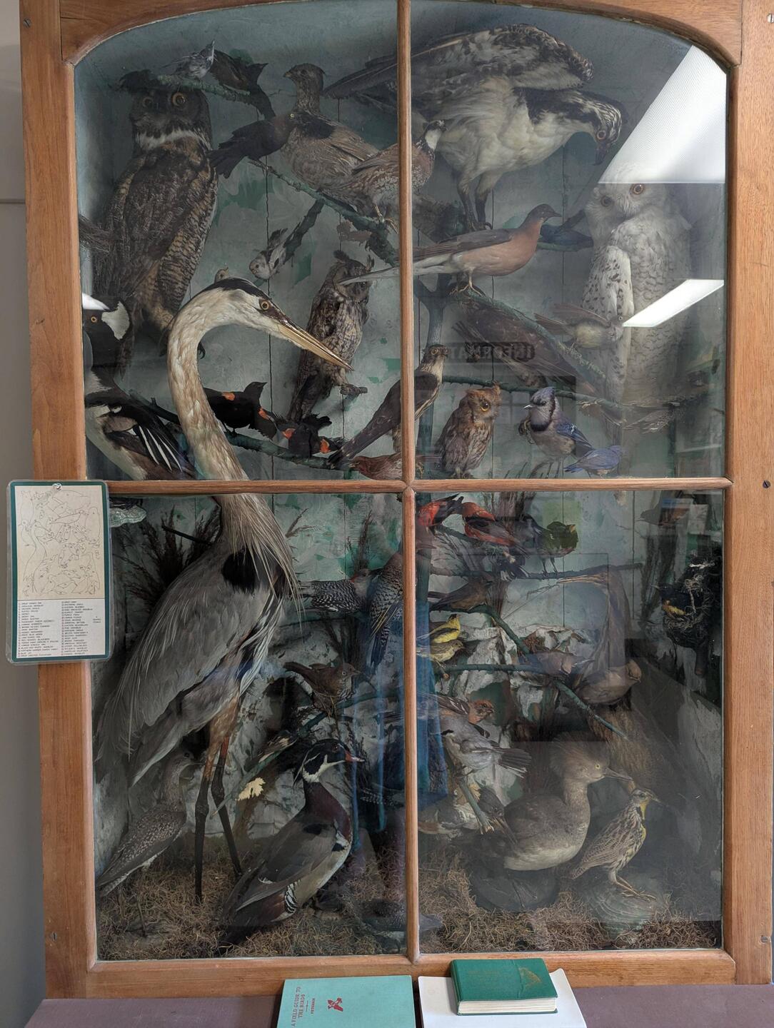 Haliburton Highlands Museum
