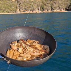 Spiny Dogfish & Gurnard