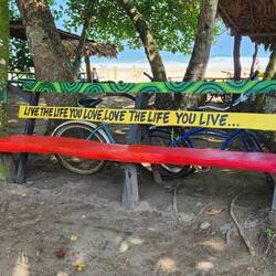 In true Rastafarian style