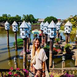 E Tube bi de Tube 🐦