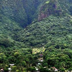 Stunning, lush land