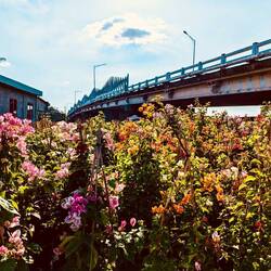 No meh Gärtnereiä ☺️