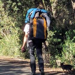 Loaded down backpacker with his dog