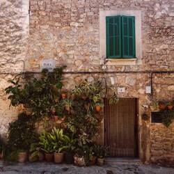 See the tile of Mallorcas saint?