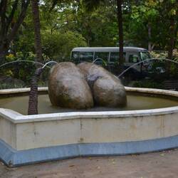 Und hier die "Coco de Mer" - künstlerisch festgehalten