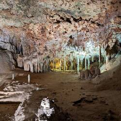 These look big but they are tiny