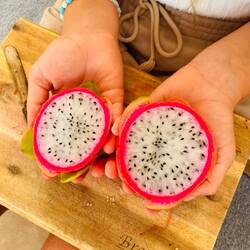 Maya bereitet uns zur Einstimmung leckere Mocktails mit exotischen Früchten zu.