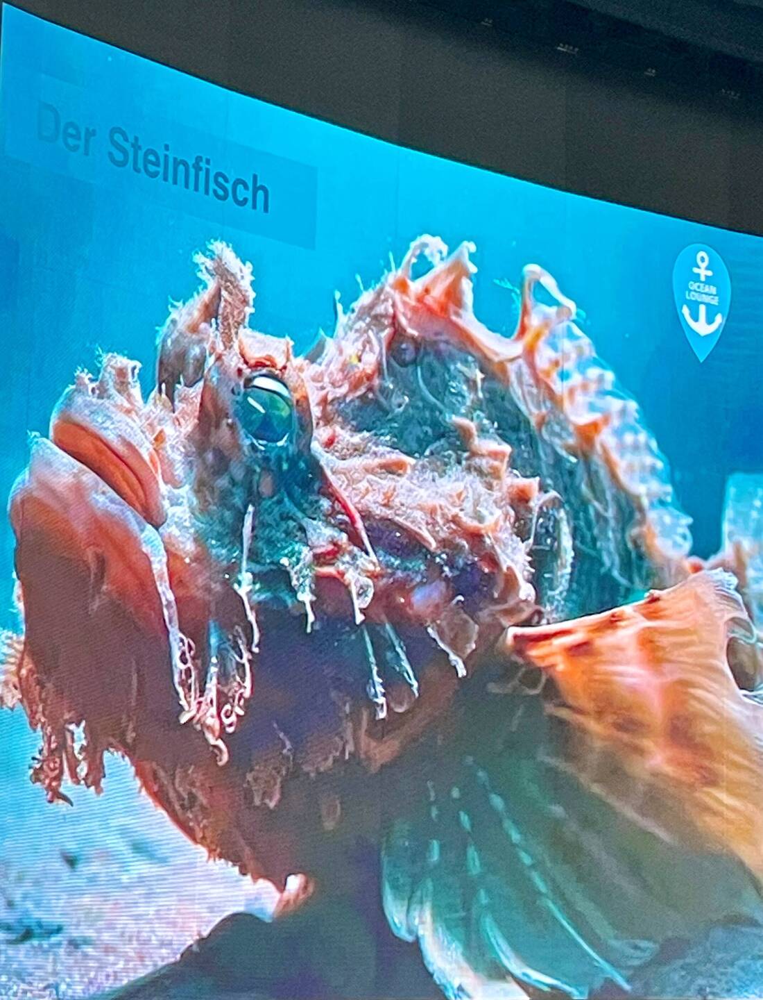 der gefährlichste Fisch der Welt