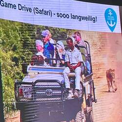 man achte auf den Löwen