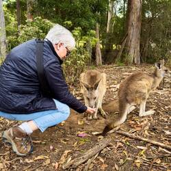 Feeding the kangaroos — Unzoo ... Taranna, TAS.