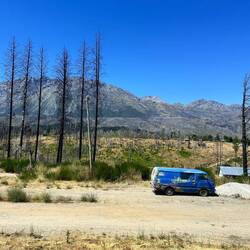 Waldbrandzeichen, auch Waldsterben - und solange die Autos laufen ...