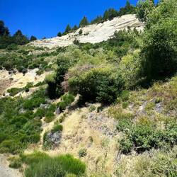 Fallätsche an der Strasse, vermutlich wegen Strassenbau