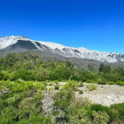 viel Busch, Kies und Geröll