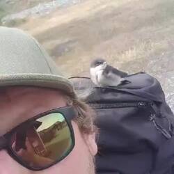 Da Michi und sein Vogel