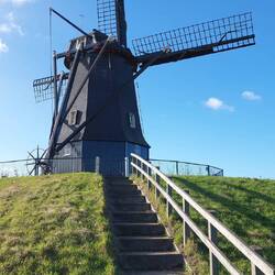 ....sehr holländische Motive!🙂