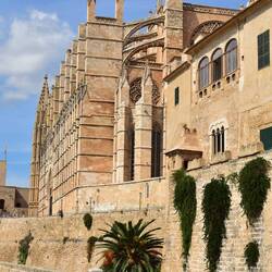 die große Kathedrale La Seu