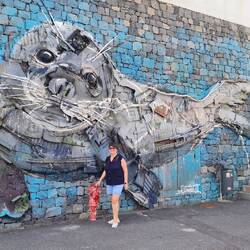 Robbe aus Müll aus dem Meer