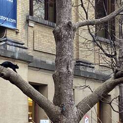 Die kleinen Freunde sind überall 🥰