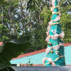 A remnant from Christmas!!