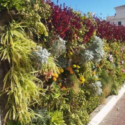 Eine tolle Verkleidung für Mülltonnen 👍