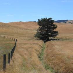 Rund um Martinborough ist es sehr trocken