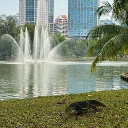 Park inmitten von Bangkok