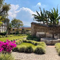 The garden of the "Monastro y Templo de Santa Clara"
