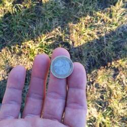 Auf dem Rückweg fand ich mitten auf einem Wiesenweg einen Euro.