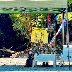 Popup merchants host loungers and tents, offering beer and tacos