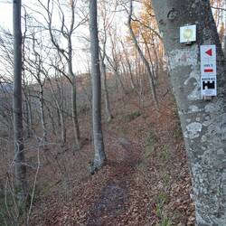 Gemeinsames Wegstück mit dem HW5