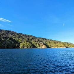 Nice flat anchorage in Ship Cove