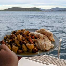 Delicious Blue Cod for dinner