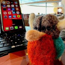 Time to update his FindPenquin's blog.