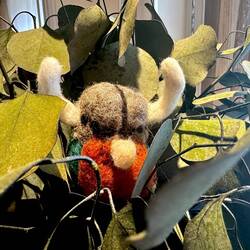 In his favorite hiding spot - checking things out.