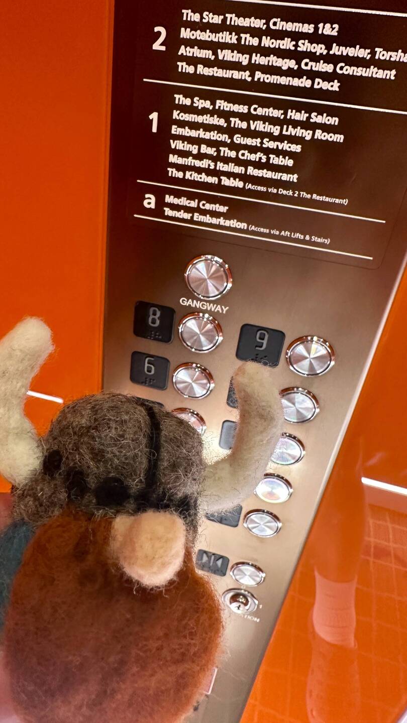 Merle, the Viking takes the elevator to deck 1 to hit the Spa