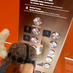Merle, the Viking takes the elevator to deck 1 to hit the Spa